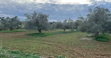Plot of land in Rizokarpaso, Northern Cyprus