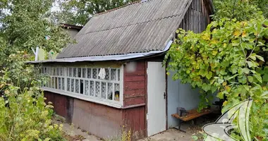 House in Muchaviecki sielski Saviet, Belarus