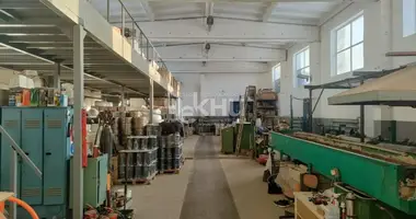 Produktion 718 m² in Bor, Russland