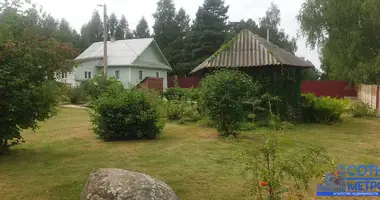 House in Hajnienski sielski Saviet, Belarus