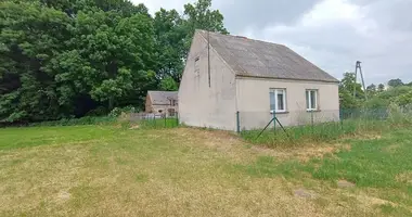 Apartment in Ciemierow, Poland