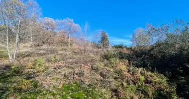 Terrain dans Chakvi, Géorgie