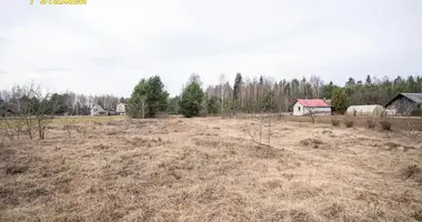 Plot of land in Nieharelski sielski Saviet, Belarus