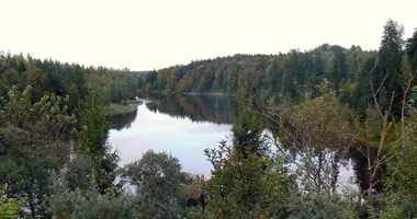 Terrain dans Juciai, Lituanie