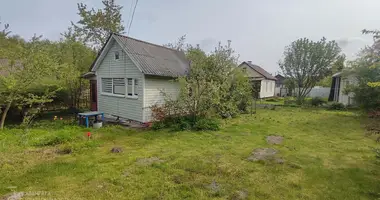 House in Ratamka, Belarus