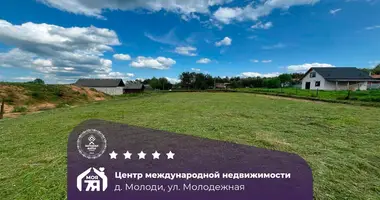 Plot of land in Svabski sielski Saviet, Belarus