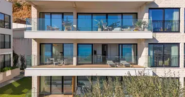 3 bedroom apartment in Montenegro