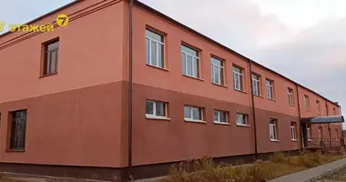 Gewerbefläche 971 m² in Babrujsk, Belarus