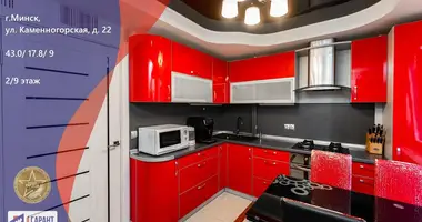 1 room apartment in Minsk, Belarus