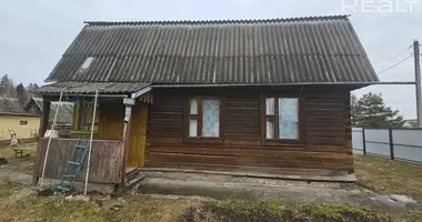 House in Zodzinski sielski Saviet, Belarus