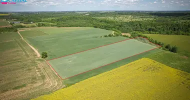 Участок земли в Rasnava, Литва