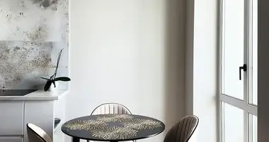 2 room apartment in Minsk, Belarus
