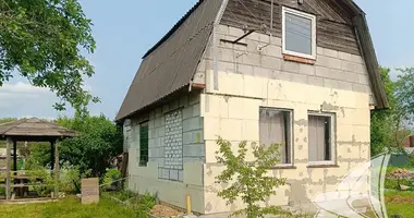 House in Telminski sielski Saviet, Belarus