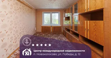 2 room apartment in Navakolasava, Belarus