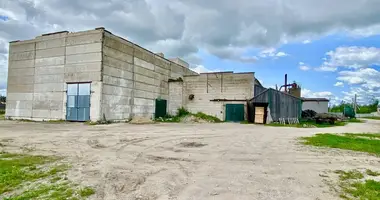 Almacén 2 611 m² en Lyepyel, Belarús