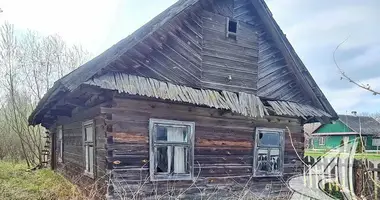 Haus in Sciapanki, Weißrussland