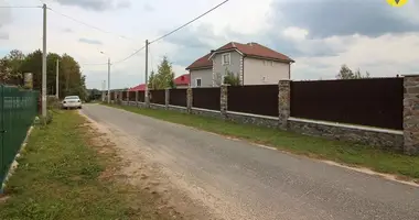 House in Bieladubrauski sielski Saviet, Belarus