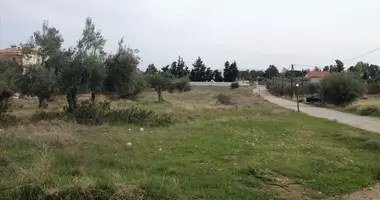 Grundstück in Agii Theodori, Griechenland