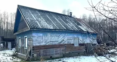 Dom w Pijanier, Białoruś