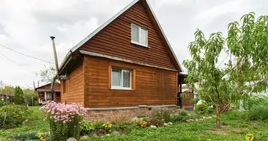 House in Pliski sielski Saviet, Belarus