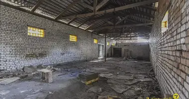 Commercial property 773 m² in Krasnaje, Belarus