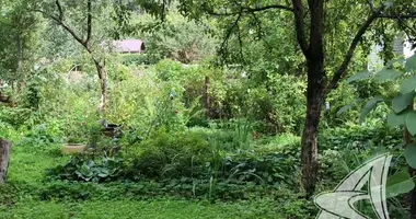 Plot of land in Muchaviecki sielski Saviet, Belarus