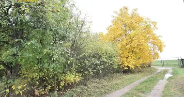 Plot of land in Astrosycki sielski Saviet, Belarus