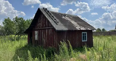 Plot of land in Dukorski sielski Saviet, Belarus