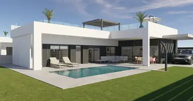 Villa 3 chambres avec Terrasse, avec lichnyy basseyn private pool, avec Buanderie dans Almoradi, Espagne