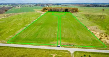 Plot of land in Eglynai, Lithuania