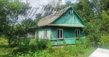 Haus in Radvanicki siel ski Saviet, Weißrussland
