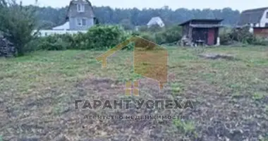 Plot of land in Vialikija Matykaly, Belarus