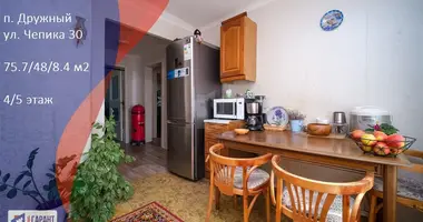 Wohnung 4 zimmer in Druschny, Belarus