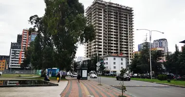 1 bedroom apartment in Batumi, Georgia