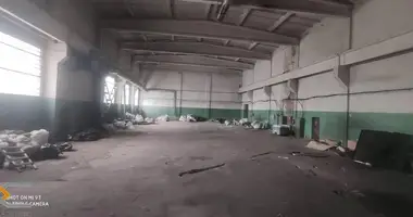 Produktion 821 m² in Baryssau, Belarus
