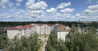 Appartement 3 chambres dans Sloutsk, Bélarus