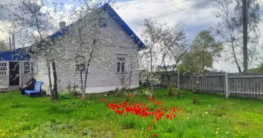 House in Siamionavicy, Belarus