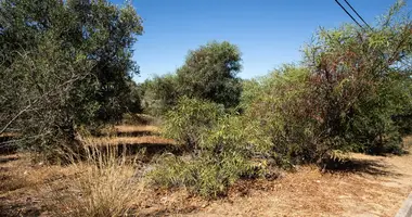 Plot of land in Portugal