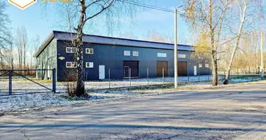 Fabrication 426 m² dans Kobryn, Biélorussie