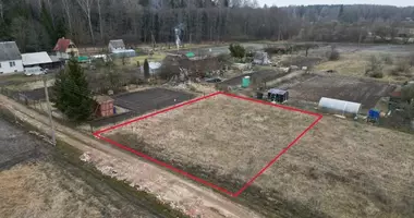 Plot of land in Daumantai, Lithuania