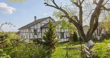 House in Dziamidavicki sielski Saviet, Belarus
