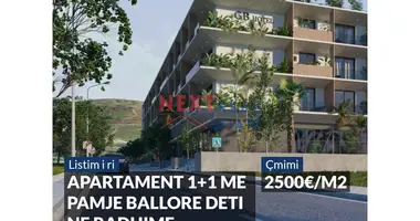 Mieszkanie 2 pokoi w Radhime, Albania