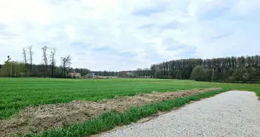 Grundstück in Konarskie, Polen