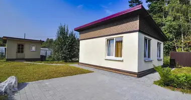 House in Piatryskauski sielski Saviet, Belarus