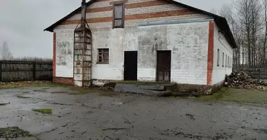 Warehouse 258 m² in Hrabiani, Belarus