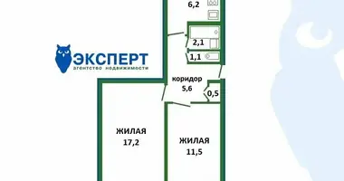 2 room apartment in Minsk, Belarus