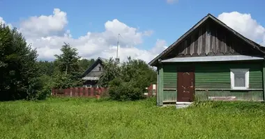 Дом в Выгоничи, Беларусь