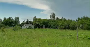 Haus in Dukorski sielski Saviet, Weißrussland