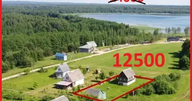 Дом в Мядельский сельский Совет, Беларусь