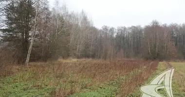 Grundstück in Muchaviecki siel ski Saviet, Weißrussland